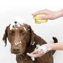 Escova de Banho Massageadora para Cães e Gatos